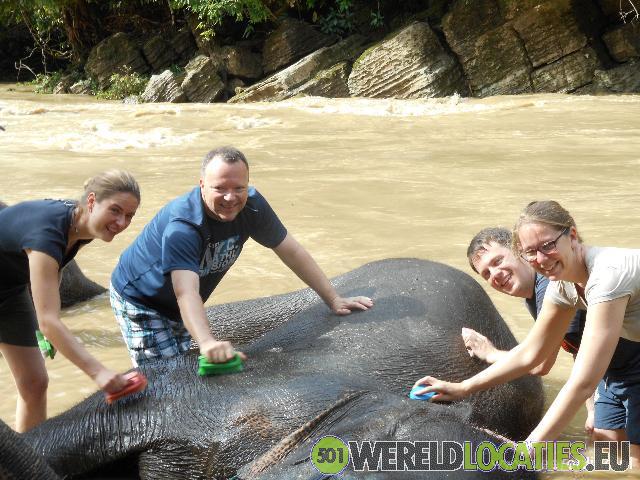 Olifanten wassen op Sumatra