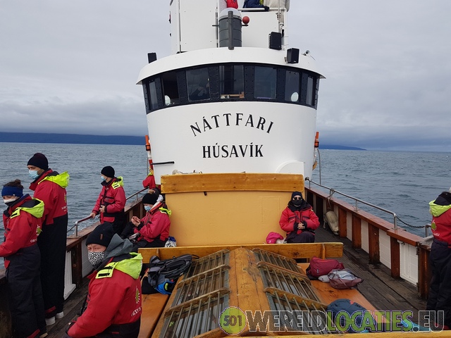 IJsland | Walvissen spotten bij Husavik