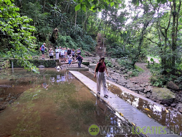 Martinique | The Absalon Trail on Mount Pelee