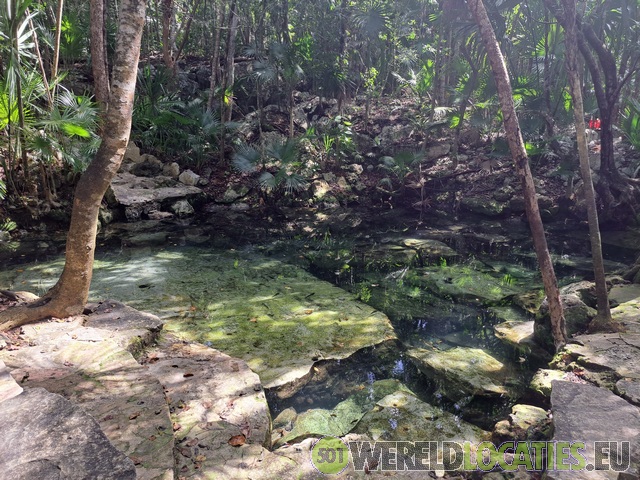 Mexico | De Cenote Azul