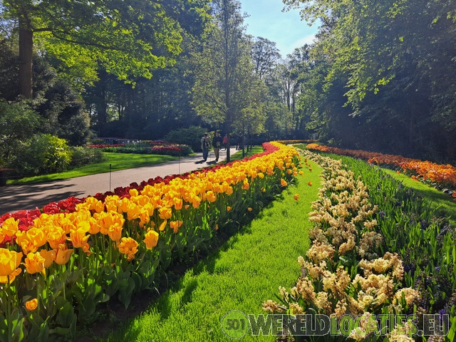 Netherlands | The Keukenhof