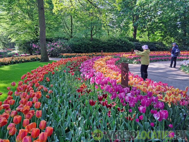 Nederland - De Keukenhof