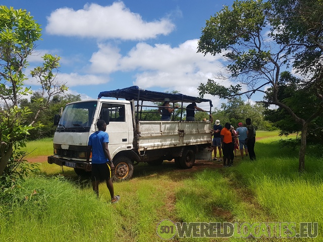 Senegal | Safari in NiokoloKoba National Park