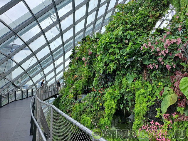 Singapore | De Cloud Forest