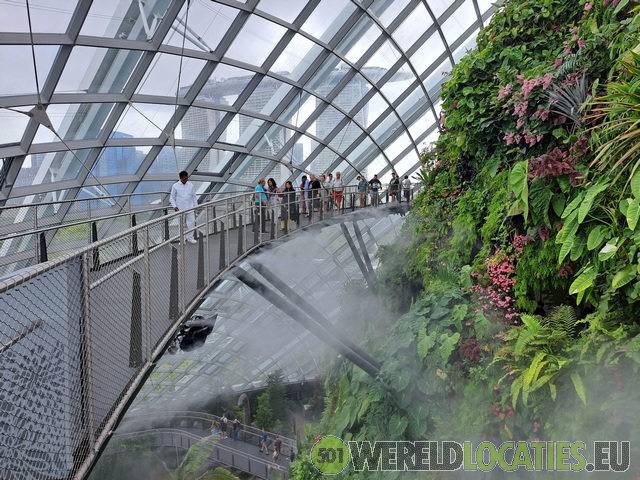Singapore | De Cloud Forest
