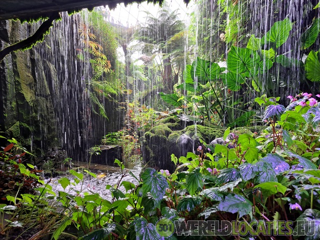 Singapore | De Cloud Forest