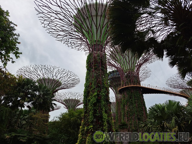 Singapore | Gardens of the Bay